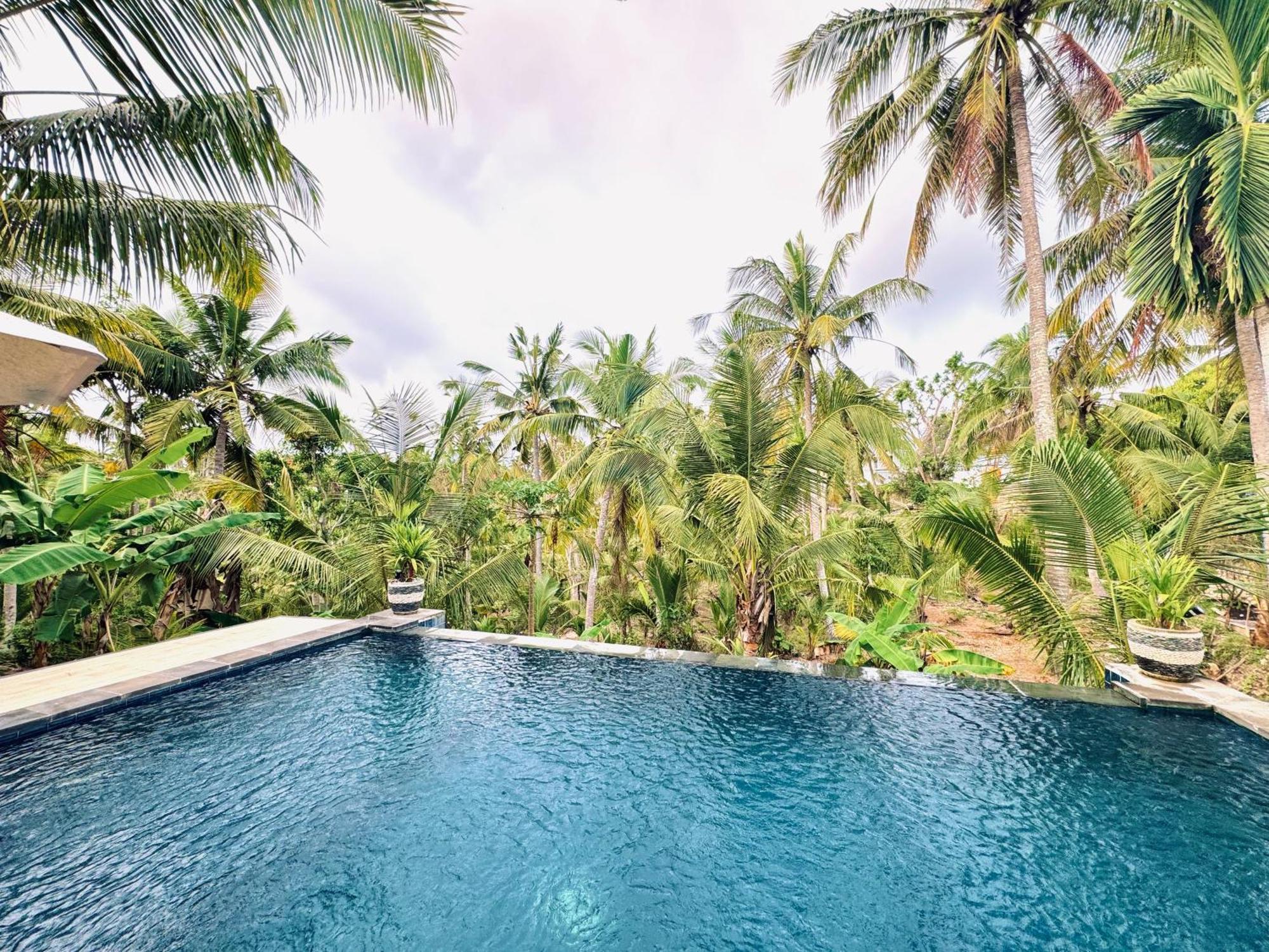 Kelingking Mesari Villa And Spa Batumadeg Exterior foto